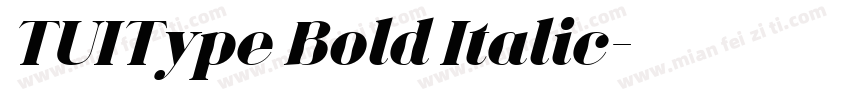 TUIType Bold Italic字体转换